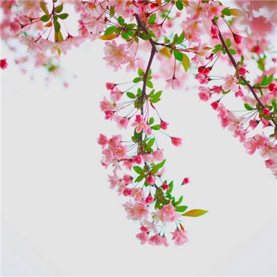 AG官方平台下载地址